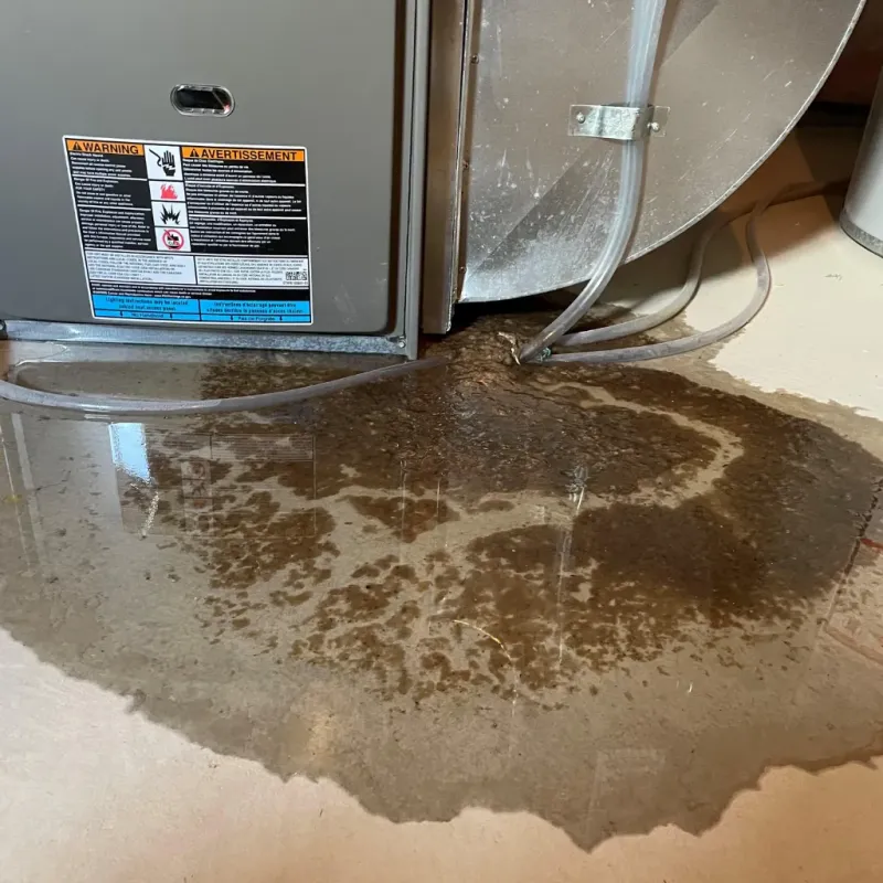 Appliance Leak Cleanup in Aberdeen, IN